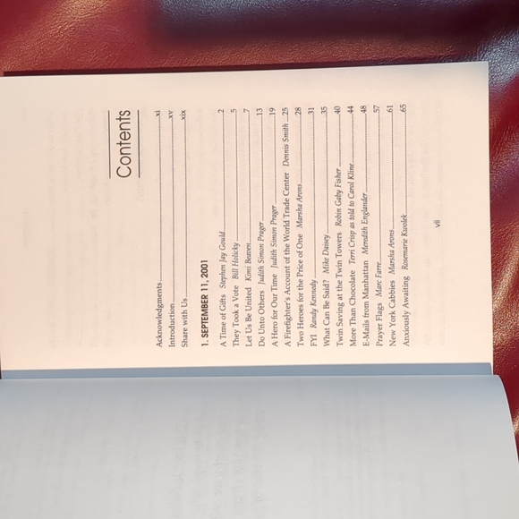 Chicken Soup for the Soul of America - Picture 8 of 10